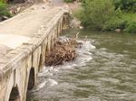 Treibgut an der Br&uuml;cke von Montclus