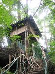 Baumhaus