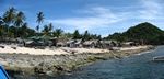 Apo Island